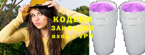 скорость Вяземский