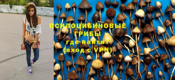 твердый Горнозаводск