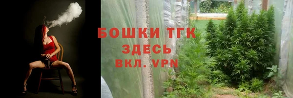 скорость Вяземский