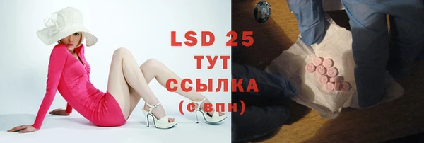 скорость Вяземский