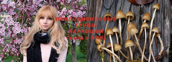 твердый Горнозаводск