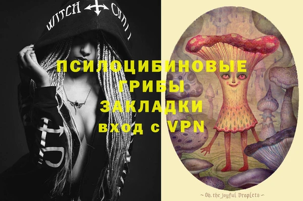 скорость Вяземский