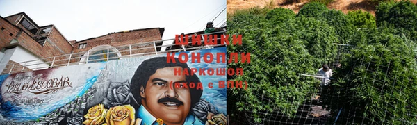 скорость Вяземский