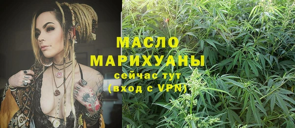 молекула духа Вязьма