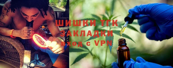 скорость Вяземский