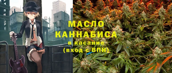 скорость Вяземский
