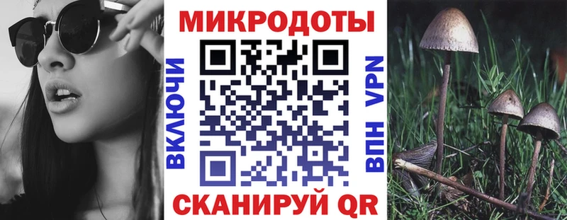 Купить закладки  Новоалександровск  Галлюциногенные грибы мухоморы 